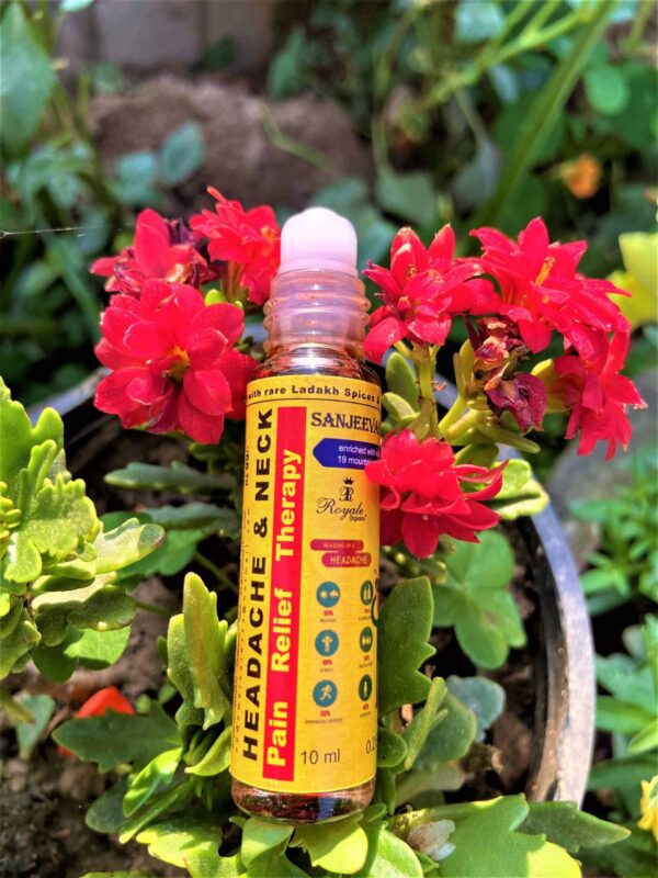Sanjeevani Pain Relief Natural Roll-on